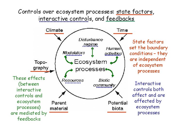 Controls over ecosystem processes: state factors, interactive controls, and feedbacks State factors set the