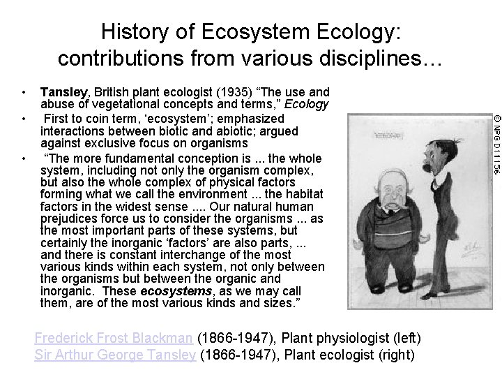 History of Ecosystem Ecology: contributions from various disciplines… • • • Tansley, British plant