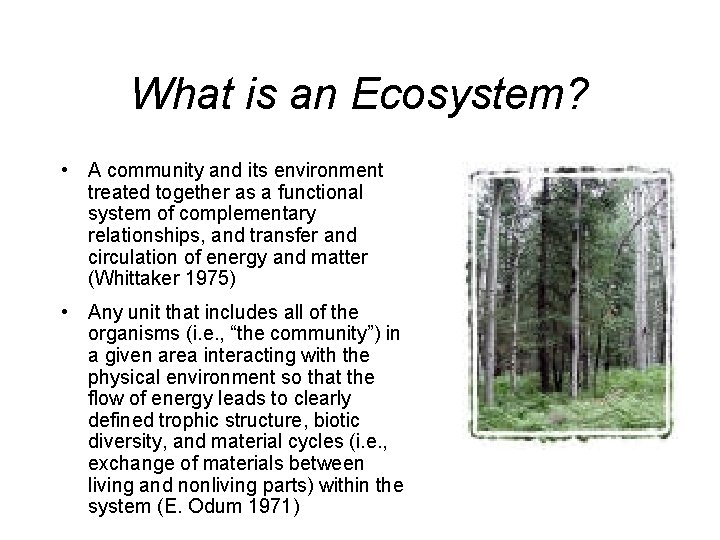 What is an Ecosystem? • A community and its environment treated together as a