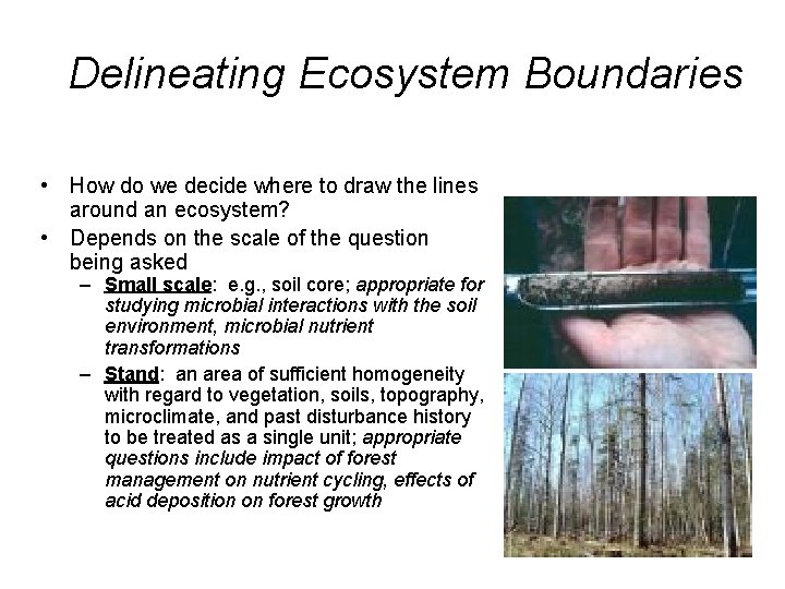 Delineating Ecosystem Boundaries • How do we decide where to draw the lines around