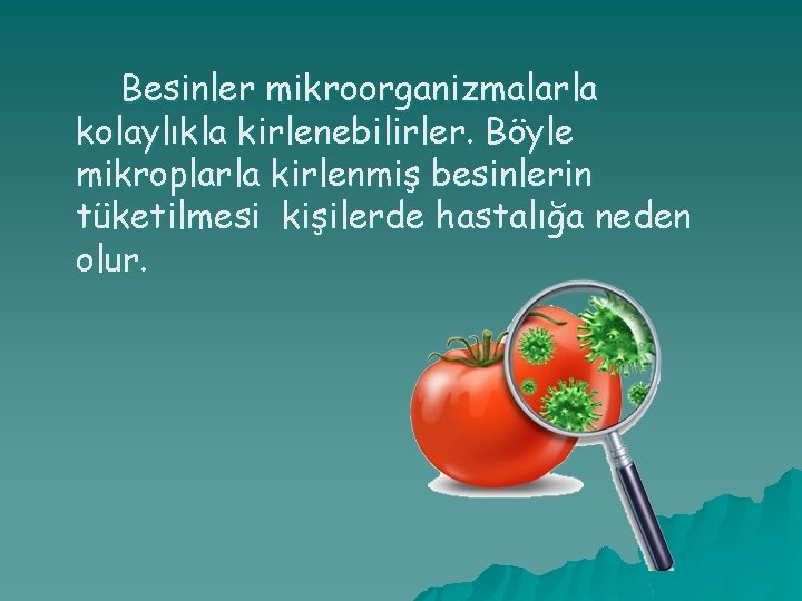 Besinler mikroorganizmalarla kolaylıkla kirlenebilirler. Böyle mikroplarla kirlenmiş besinlerin tüketilmesi kişilerde hastalığa neden olur. 