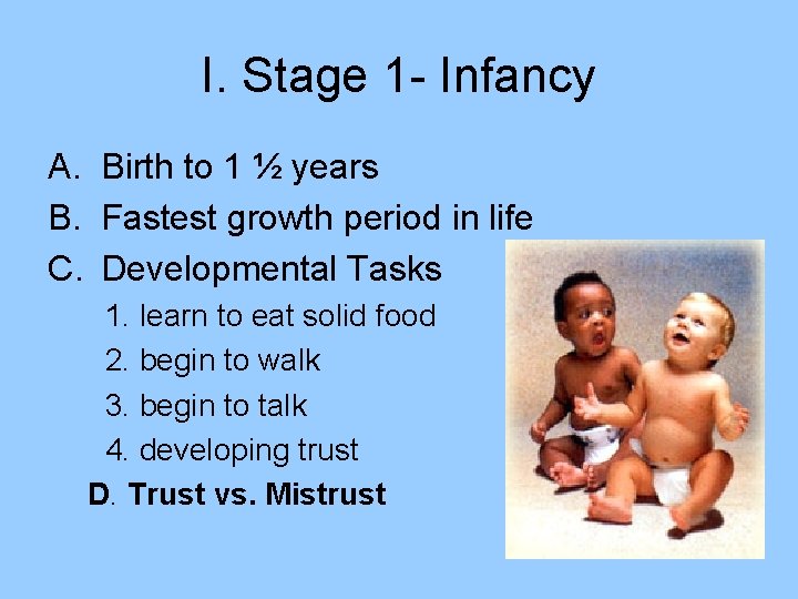 I. Stage 1 - Infancy A. Birth to 1 ½ years B. Fastest growth