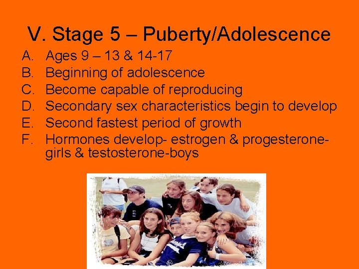 V. Stage 5 – Puberty/Adolescence A. B. C. D. E. F. Ages 9 –