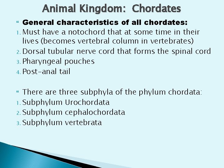 Animal Kingdom: Chordates General characteristics of all chordates: 1. Must have a notochord that