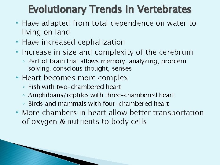 Evolutionary Trends in Vertebrates Have adapted from total dependence on water to living on