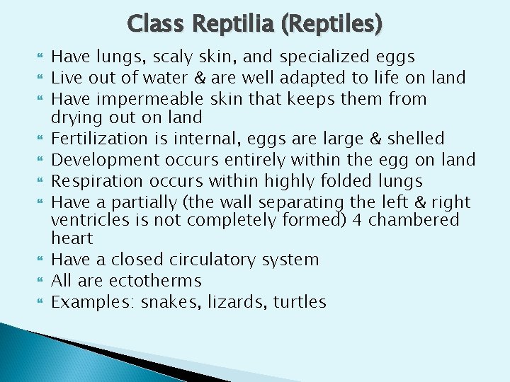 Class Reptilia (Reptiles) Have lungs, scaly skin, and specialized eggs Live out of water