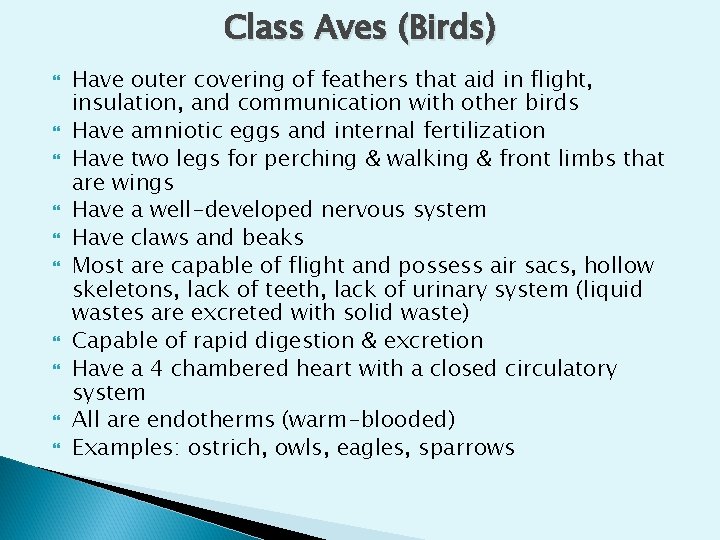 Class Aves (Birds) Have outer covering of feathers that aid in flight, insulation, and