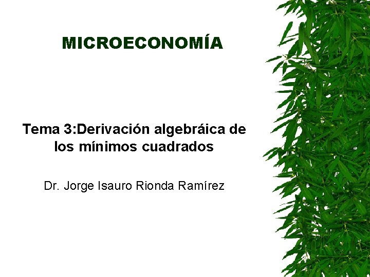 MICROECONOMÍA Tema 3: Derivación algebráica de los mínimos cuadrados Dr. Jorge Isauro Rionda Ramírez