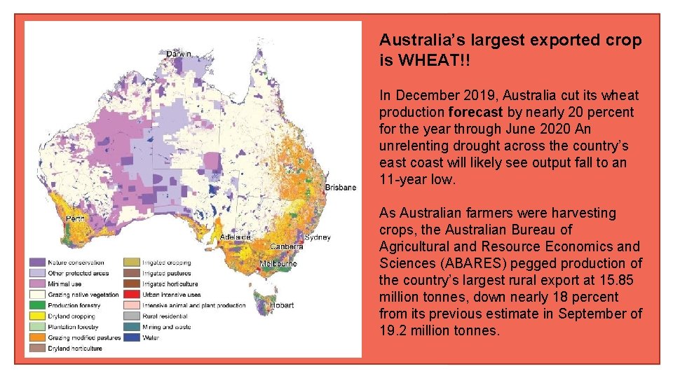 Australia’s largest exported crop is WHEAT!! In December 2019, Australia cut its wheat production