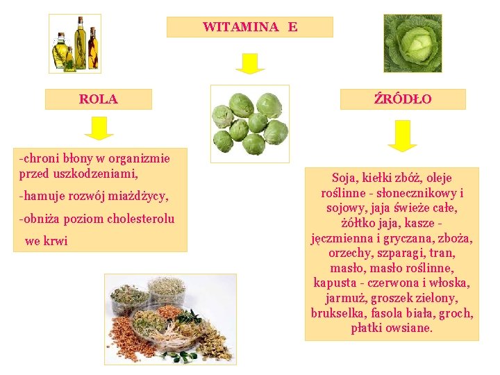 WITAMINA E ROLA -chroni błony w organizmie przed uszkodzeniami, -hamuje rozwój miażdżycy, -obniża poziom