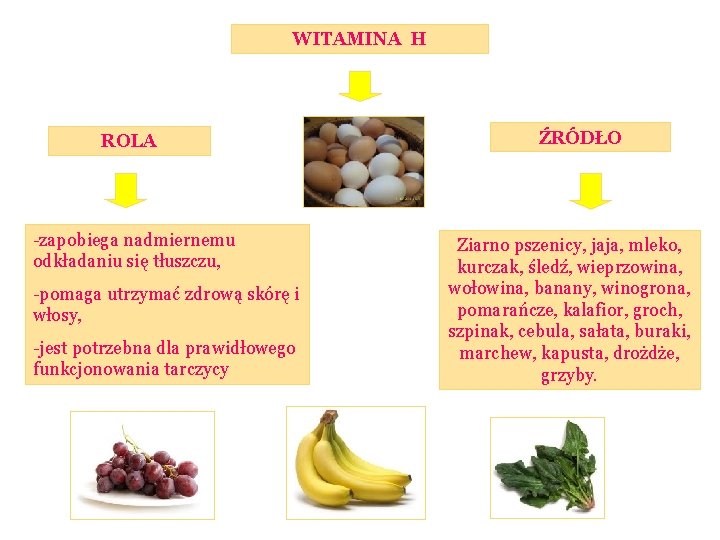 WITAMINA H ROLA -zapobiega nadmiernemu odkładaniu się tłuszczu, -pomaga utrzymać zdrową skórę i włosy,