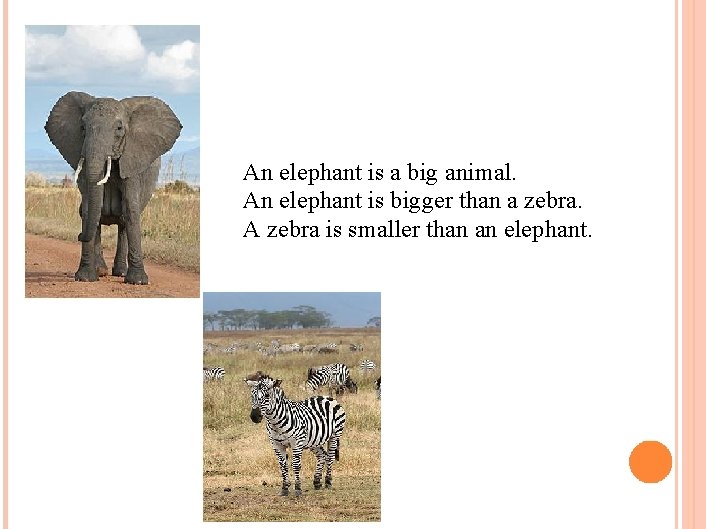 An elephant is a big animal. An elephant is bigger than a zebra. A