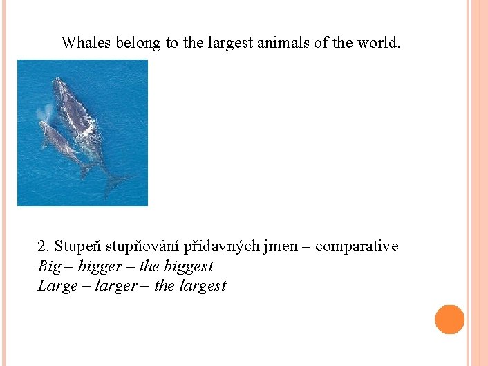 Whales belong to the largest animals of the world. 2. Stupeň stupňování přídavných jmen