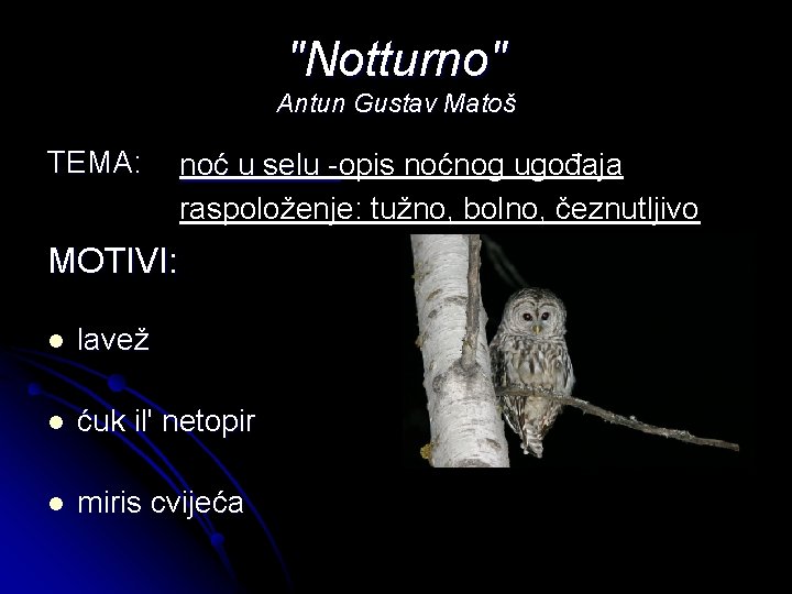 "Notturno" Antun Gustav Matoš TEMA: noć u selu -opis noćnog ugođaja raspoloženje: tužno, bolno,