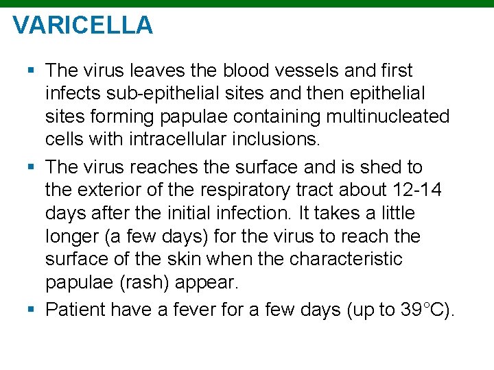 VARICELLA § The virus leaves the blood vessels and first infects sub-epithelial sites and