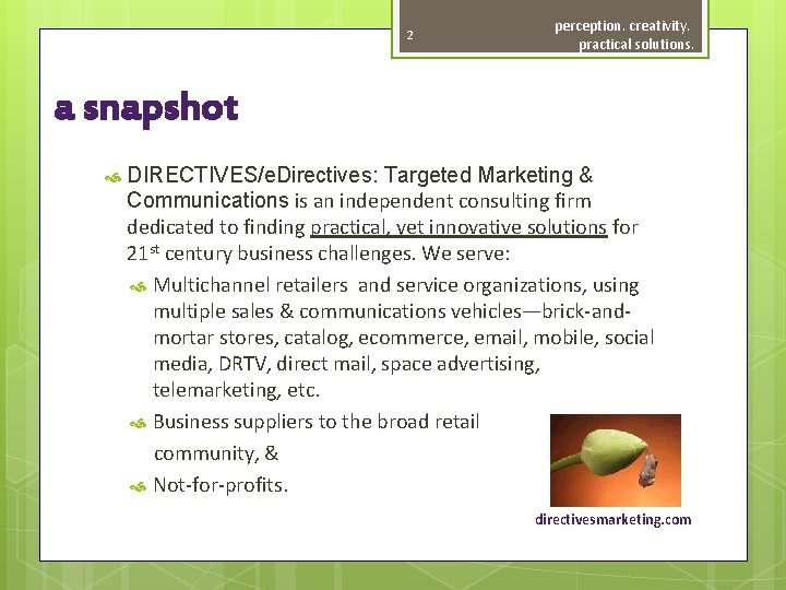 2 perception. creativity. practical solutions. a snapshot DIRECTIVES/e. Directives: Targeted Marketing & Communications is