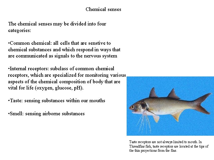 Chemical senses The chemical senses may be divided into four categories: • Common chemical: