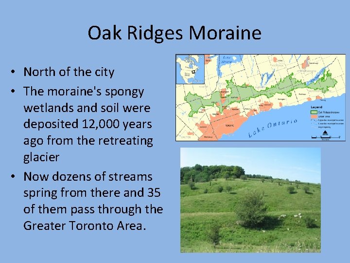 Oak Ridges Moraine • North of the city • The moraine's spongy wetlands and