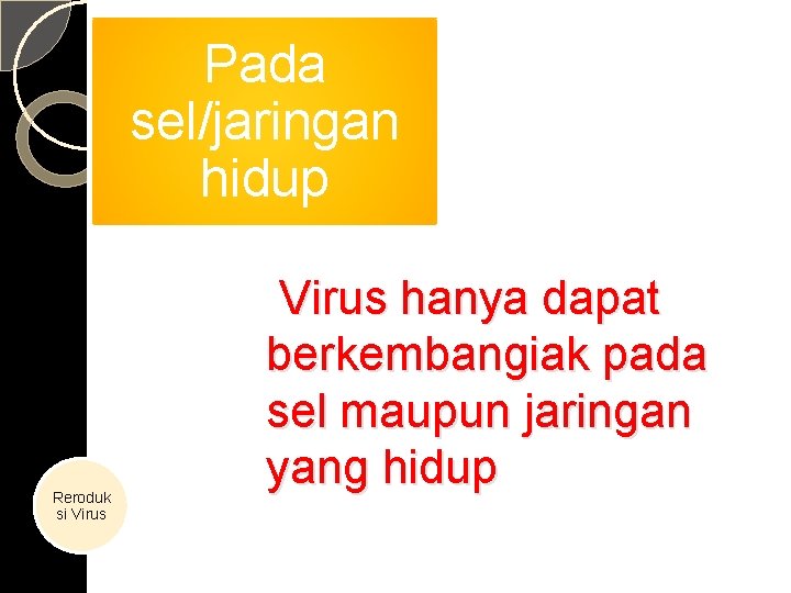 Pada sel/jaringan hidup Reroduk si Virus hanya dapat berkembangiak pada sel maupun jaringan yang