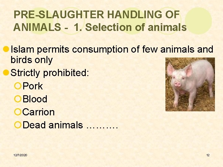 PRE-SLAUGHTER HANDLING OF ANIMALS - 1. Selection of animals l Islam permits consumption of