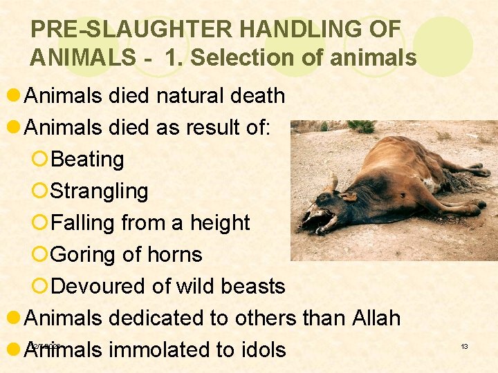 PRE-SLAUGHTER HANDLING OF ANIMALS - 1. Selection of animals l Animals died natural death