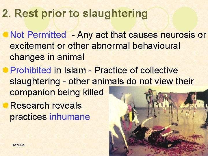 2. Rest prior to slaughtering l Not Permitted - Any act that causes neurosis