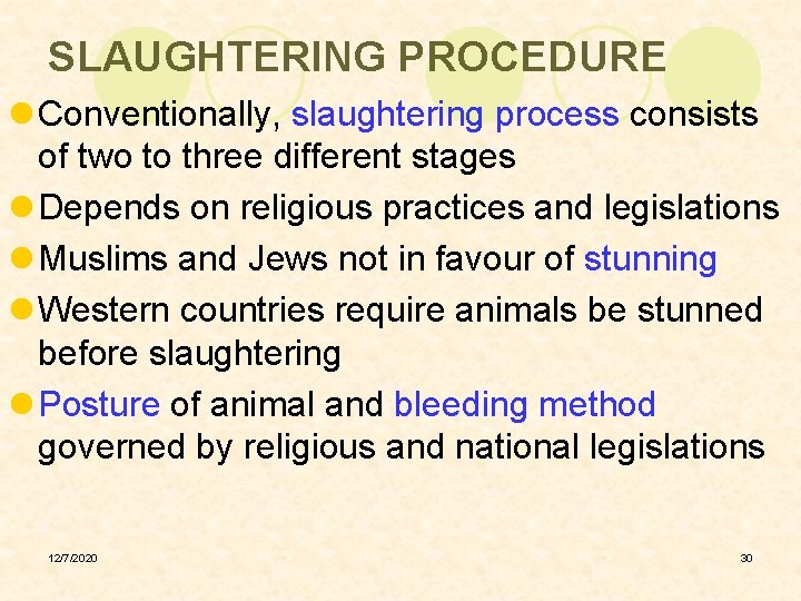 SLAUGHTERING PROCEDURE l Conventionally, slaughtering process consists of two to three different stages l