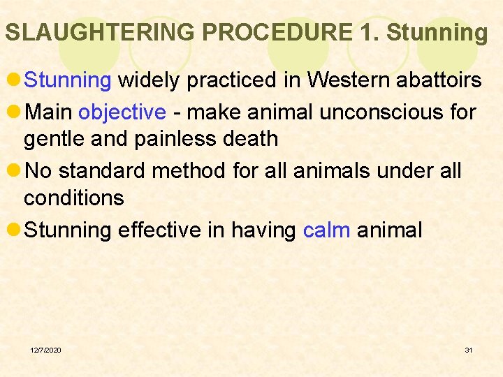 SLAUGHTERING PROCEDURE 1. Stunning l Stunning widely practiced in Western abattoirs l Main objective