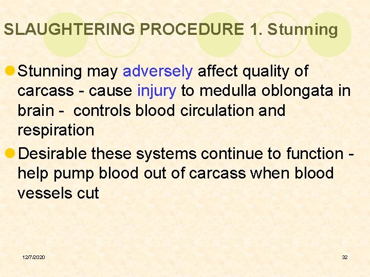 SLAUGHTERING PROCEDURE 1. Stunning l Stunning may adversely affect quality of carcass - cause