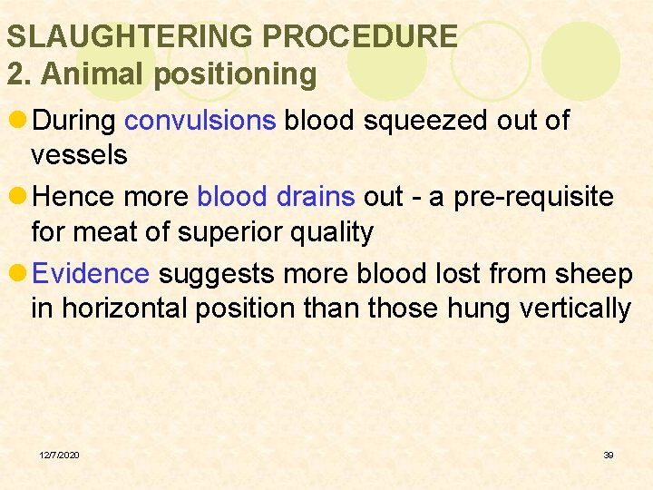 SLAUGHTERING PROCEDURE 2. Animal positioning l During convulsions blood squeezed out of vessels l