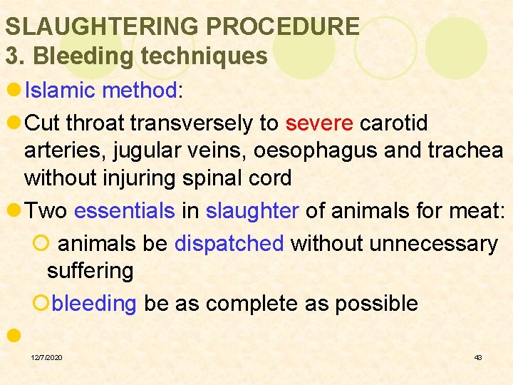 SLAUGHTERING PROCEDURE 3. Bleeding techniques l Islamic method: l Cut throat transversely to severe