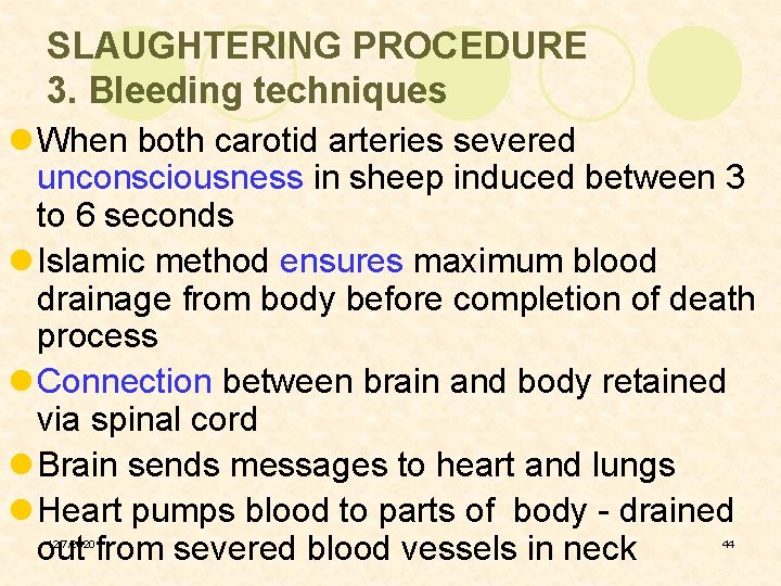 SLAUGHTERING PROCEDURE 3. Bleeding techniques l When both carotid arteries severed unconsciousness in sheep