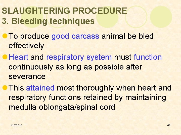 SLAUGHTERING PROCEDURE 3. Bleeding techniques l To produce good carcass animal be bled effectively