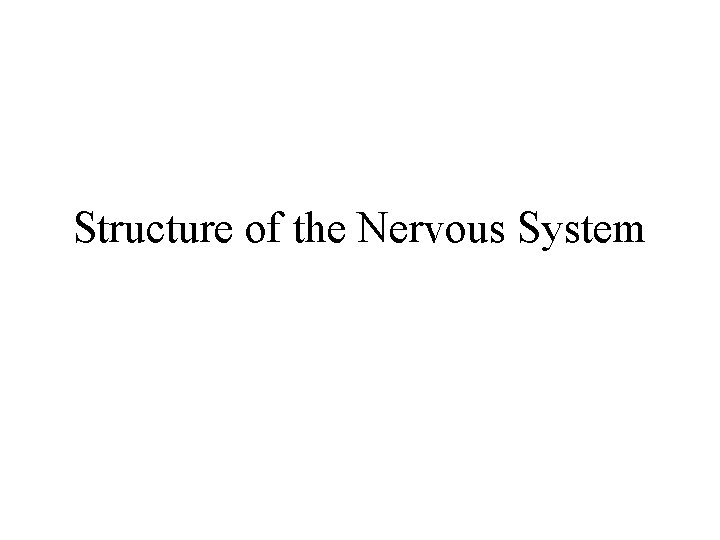 Structure of the Nervous System 