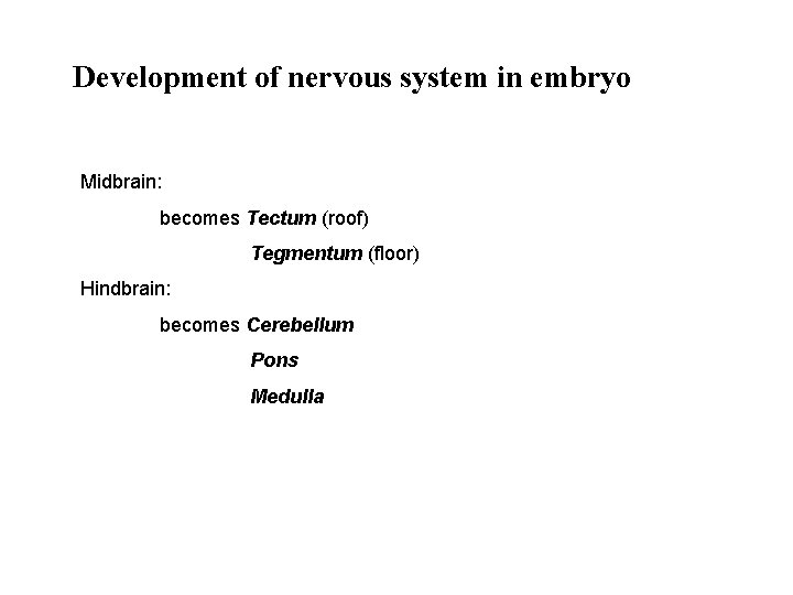 Development of nervous system in embryo Midbrain: becomes Tectum (roof) Tegmentum (floor) Hindbrain: becomes