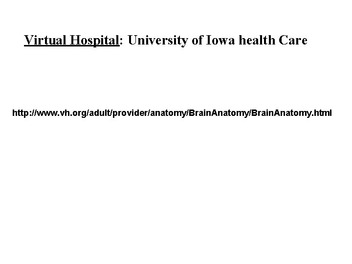 Virtual Hospital: University of Iowa health Care http: //www. vh. org/adult/provider/anatomy/Brain. Anatomy. html 