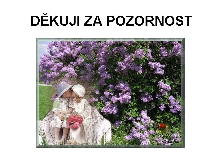 DĚKUJI ZA POZORNOST 