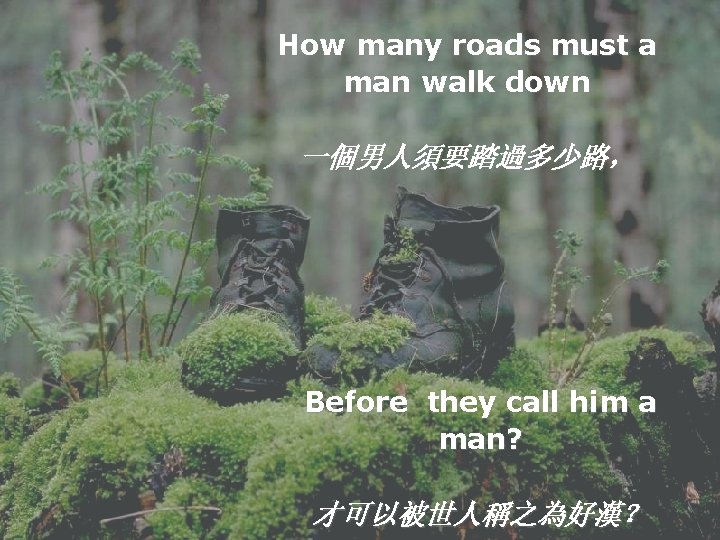 How many roads must a man walk down 一個男人須要踏過多少路， Before they call him a