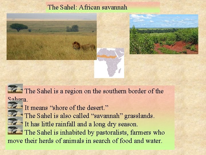 The Sahel: African savannah The Sahel is a region on the southern border of