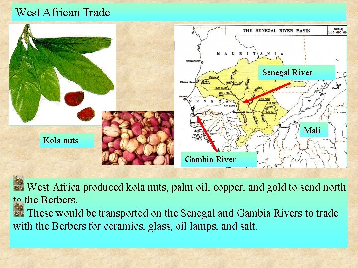 West African Trade Senegal River Mali Kola nuts Gambia River West Africa produced kola