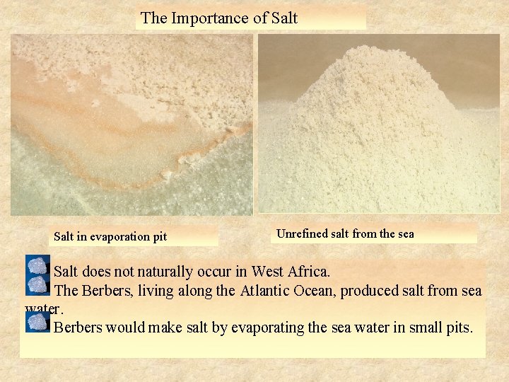 The Importance of Salt in evaporation pit Unrefined salt from the sea Salt does