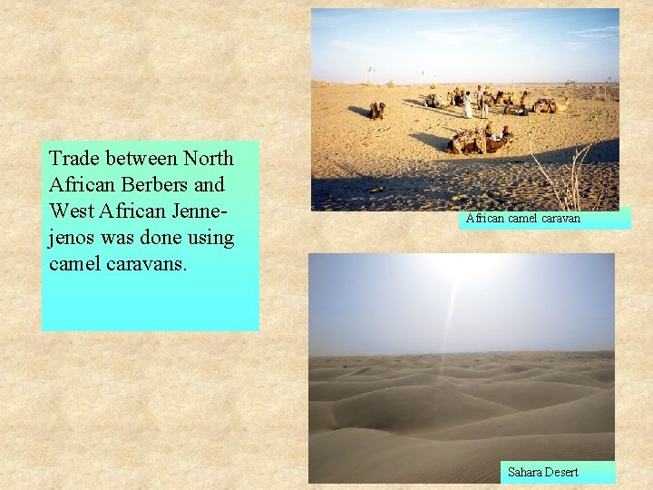 Trade between North African Berbers and West African Jennejenos was done using camel caravans.