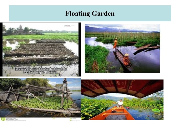 Floating Garden 