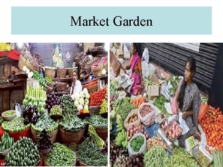 Market Garden 