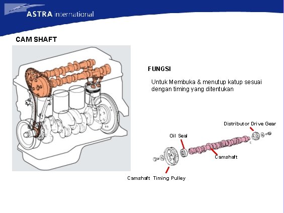 CAM SHAFT FUNGSI Untuk Membuka & menutup katup sesuai dengan timing yang ditentukan Distributor