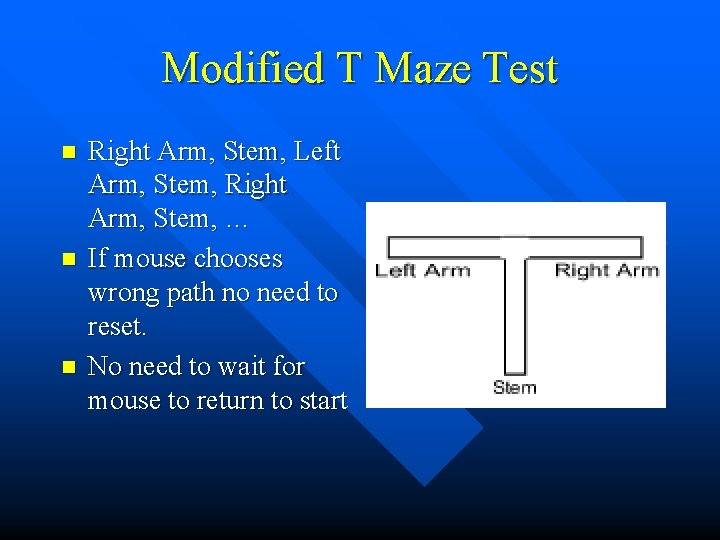 Modified T Maze Test n n n Right Arm, Stem, Left Arm, Stem, Right