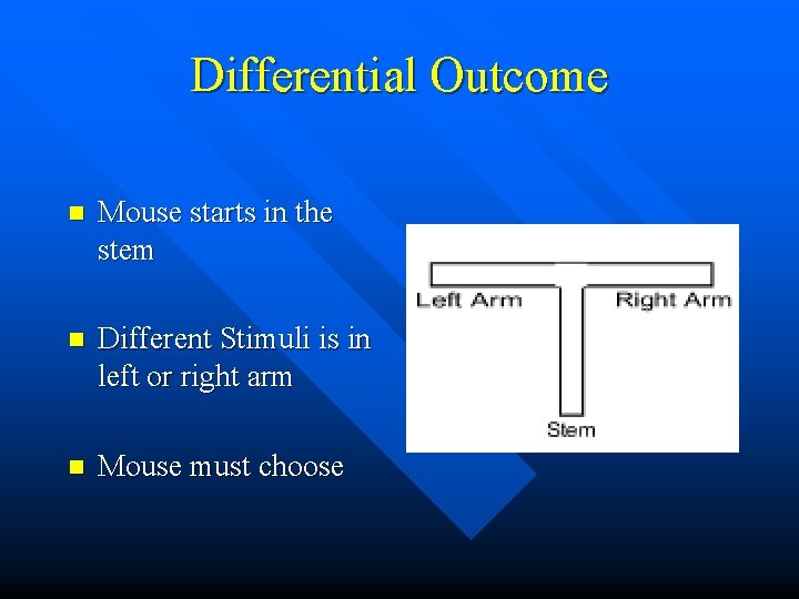 Differential Outcome n Mouse starts in the stem n Different Stimuli is in left