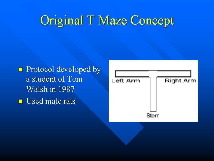 Original T Maze Concept n n Protocol developed by a student of Tom Walsh