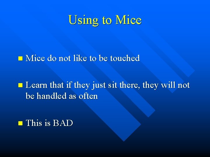 Using to Mice n Mice do not like to be touched n Learn that