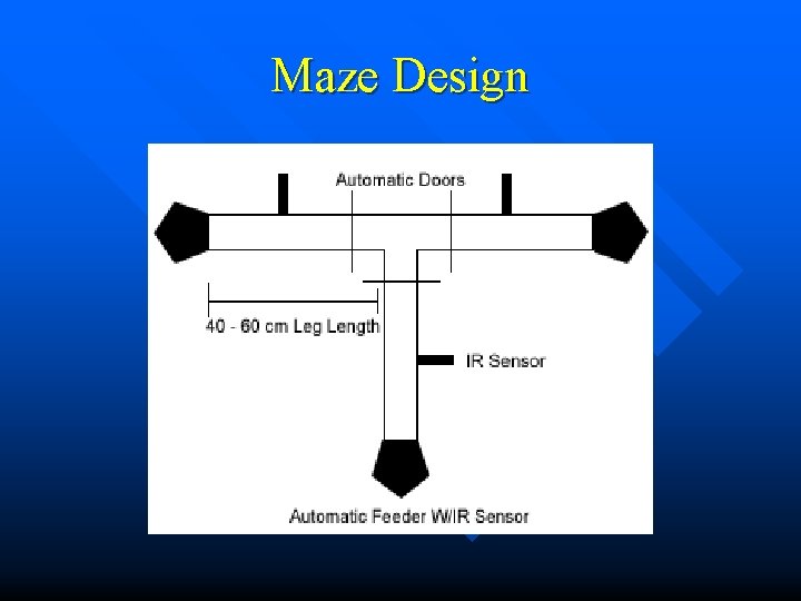 Maze Design 